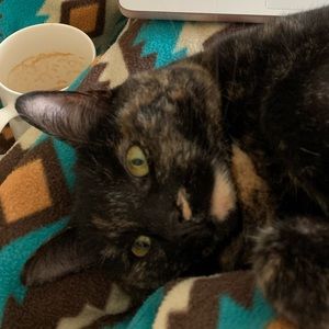 Meet your Posher, Annie